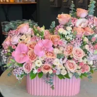 دورود جشنهای خود را به ما بسپارید