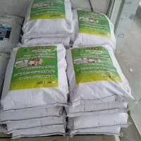 چسب آجر نما و چسب هبلکس عایق نانو عایق پشت بام|مصالح و تجهیزات ساختمان|مشهد, رسالت|دیوار