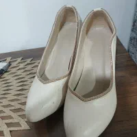 کفش مجلسی