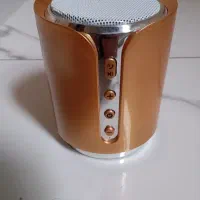 اسپیکر همراه