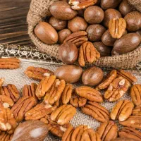 پیش فروش نهال گردو پکان تیپ۱|خدمات باغبانی و درختکاری|نهاوند, |دیوار