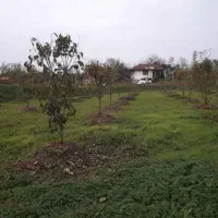 ۷ هزار متر زمین کمالوند کمربندی