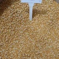 لپه آذر شهر