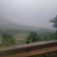 کشکو زمین. گلخانه کشاورزی. دامداری|فروش دفتر صنعتی، کشاورزی، تجاری|تنکابن, |دیوار