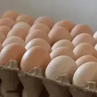 تخم مرغ روستایی