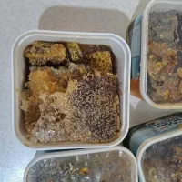 عسل اویشن درجه یک|خوردنی و آشامیدنی|اهواز, کیانشهر|دیوار