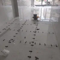 سرامیک و کاشی کاری