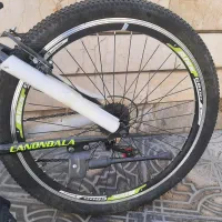 دوچرخه ۲۴ نو