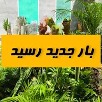 بار جدید مجدداً شارژ شد