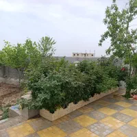 فروشی