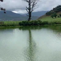 فروش زمین چهار فرزندی بلوک A