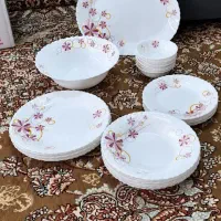 آرکوپال  خارجی مارک آفر