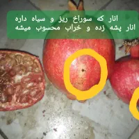 انار استرک آبدار و ملس|خوردنی و آشامیدنی|کاشان, جمال آباد|دیوار