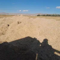 فروش انواع کاه و یونجه