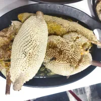 عسل وحشی کنار|خوردنی و آشامیدنی|اهواز, شهرک نفت|دیوار