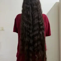 موی میلیونی قیمت بالا