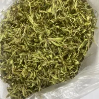 آویشن کوهی