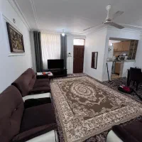 سند دار قیمت مناسب