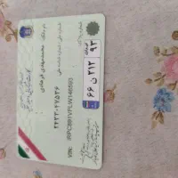 مدارک گم شده|اشیا|شیراز, سعدیه شمالی|دیوار
