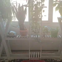 پایه گل بزرگ در حد نو