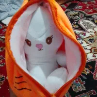 عروسک خرگوشی هویجی سوپرایزی