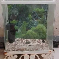 آکواریوم با پمپ آب و لامپ و سنگ تزئینی|ماهی|اهواز, دانشگاه چمران|دیوار