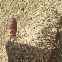 جو ۶۰۰ کیلو