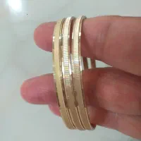 ۳عددالنگوطلاروس