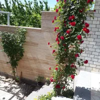 باغ چهار دیواری