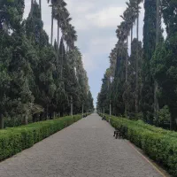 زمین مسکونی ۱۸۵۰ متر جهت مشارکت در ساخت