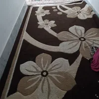 صندلی چرخدار|صندلی و نیمکت|گرگان, |دیوار