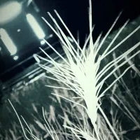 کمباین جاندیر مدل ۷۹|خودرو سنگین|ازنا, |دیوار