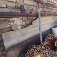 حراج|حراج|تربت‌حیدریه, بهشت عسکری|دیوار