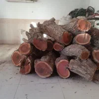 چوب عناب درجه یک