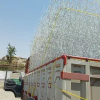 حفاظ شاخ گوزنی