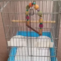 قفس طوطی،مینا...|لوازم جانبی حیوانات|چهارباغ, |دیوار