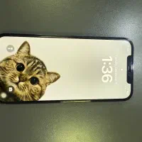 آیفون ۱۲ پرومکس ZA|موبایل|کرج, شهرک یاس شمالی|دیوار