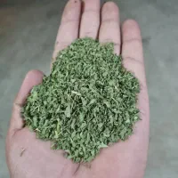 عطاری و گیاهان دارویی