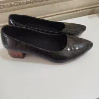 کفش مجلسی