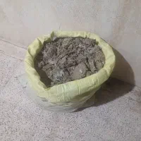 کودکشاورزی زیل کبوتر