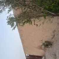 فروش آپارتمان ۱۰۰ متری ۳ خوابه طبقه ۲ در علامه