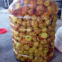 گل سیر برای ترشی