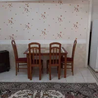 اجاره روزانه/هفتگی/آقا بابا خانی مرکز شهر|اجارهٔ کوتاه‌مدت آپارتمان و سوئیت|شیراز, تندگویان|دیوار