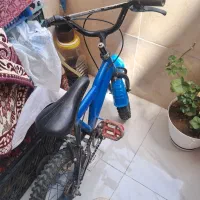 دوچرخه سواری در  حد نو  سایز 14