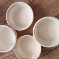 یک بار مصرف مخصوص رطب خوبن قیمت دوتومان|ظروف نگهدارنده، پلاستیکی، یک‌بارمصرف|بندر گناوه, |دیوار