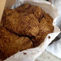 برگ. زردچوبه.