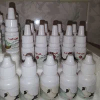 کبوتر پلاکی
