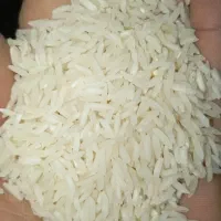 برنج دره رود