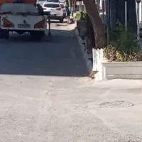 جابجایی گاوصندوق