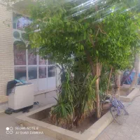 خانه قدیمی|فروش خانه و ویلا|یزد, |دیوار